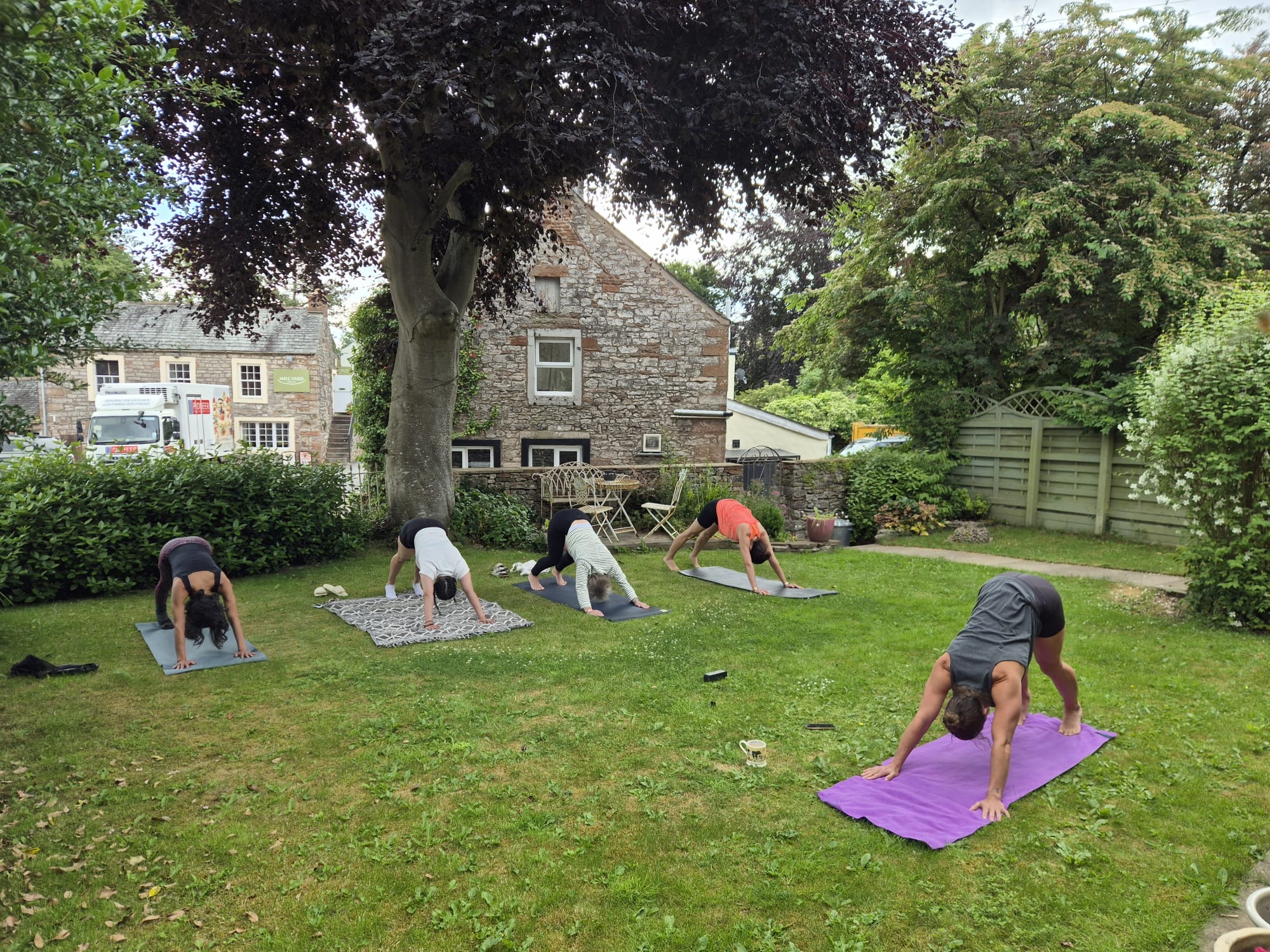 Group of women in downward dog yoga pose on mats in a garden under a large tree