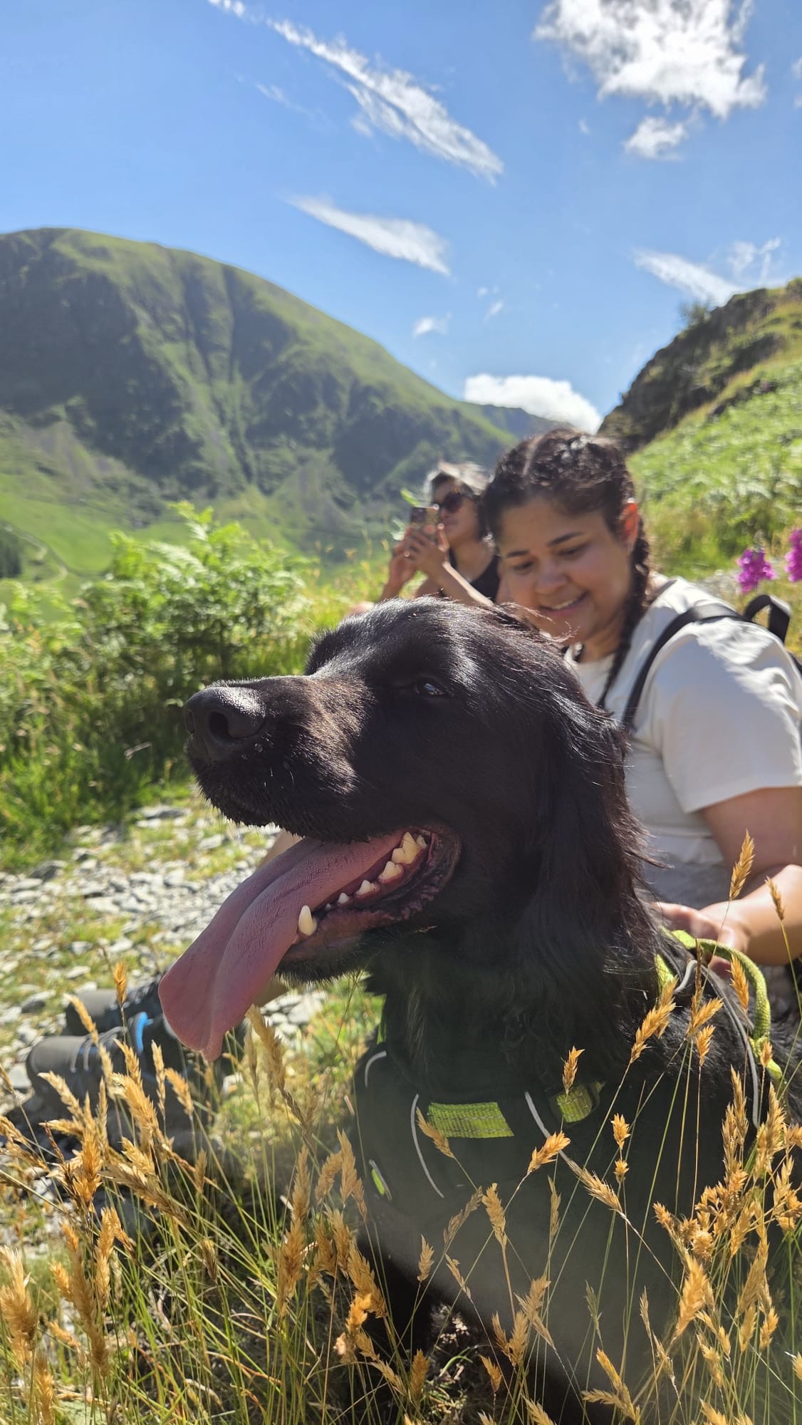 Two smiling women and a happy black spaniel on a sunny hike in a green Lake District valley