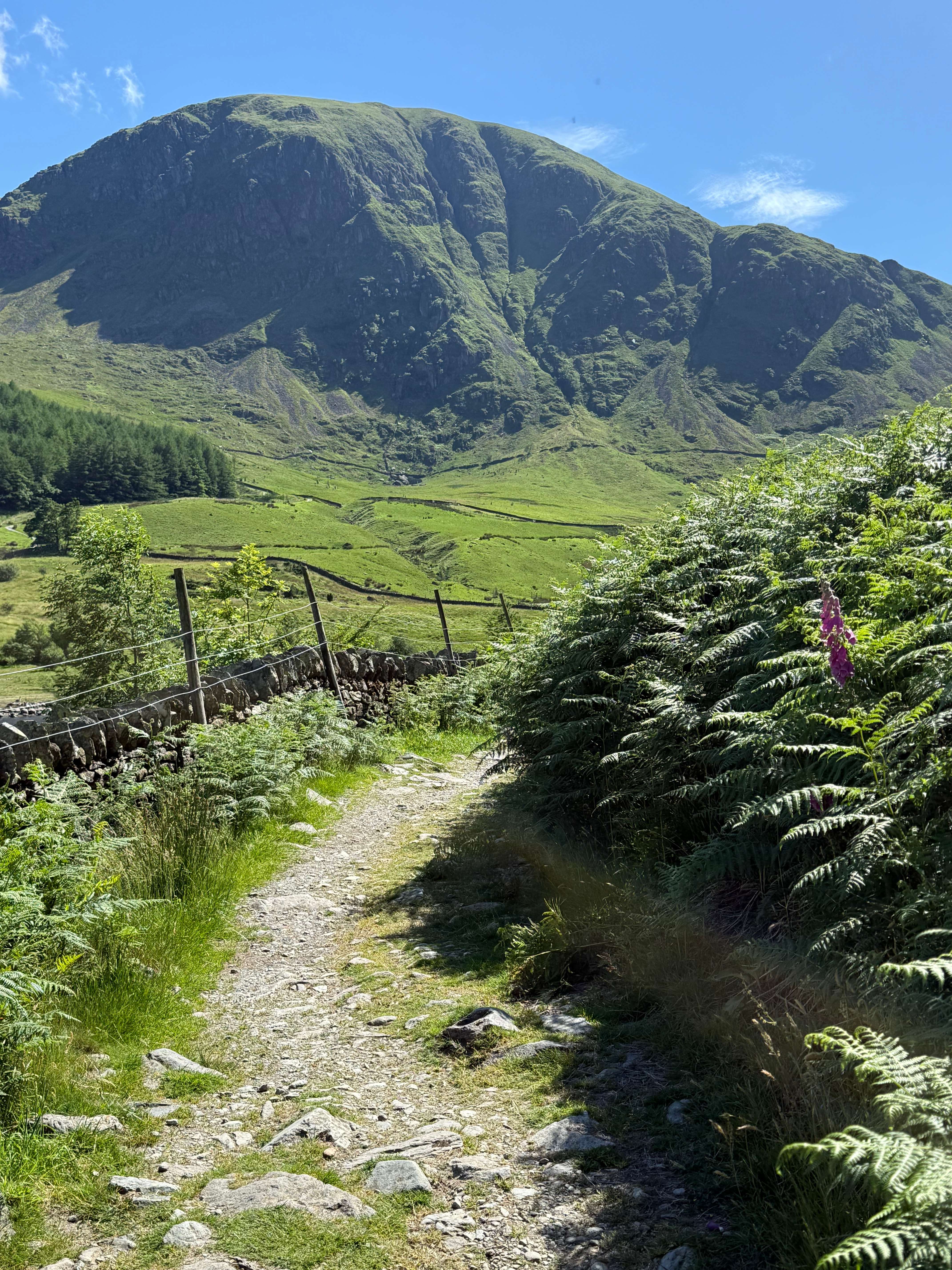 Stony footpath winding toward a towering green Lake District mountain