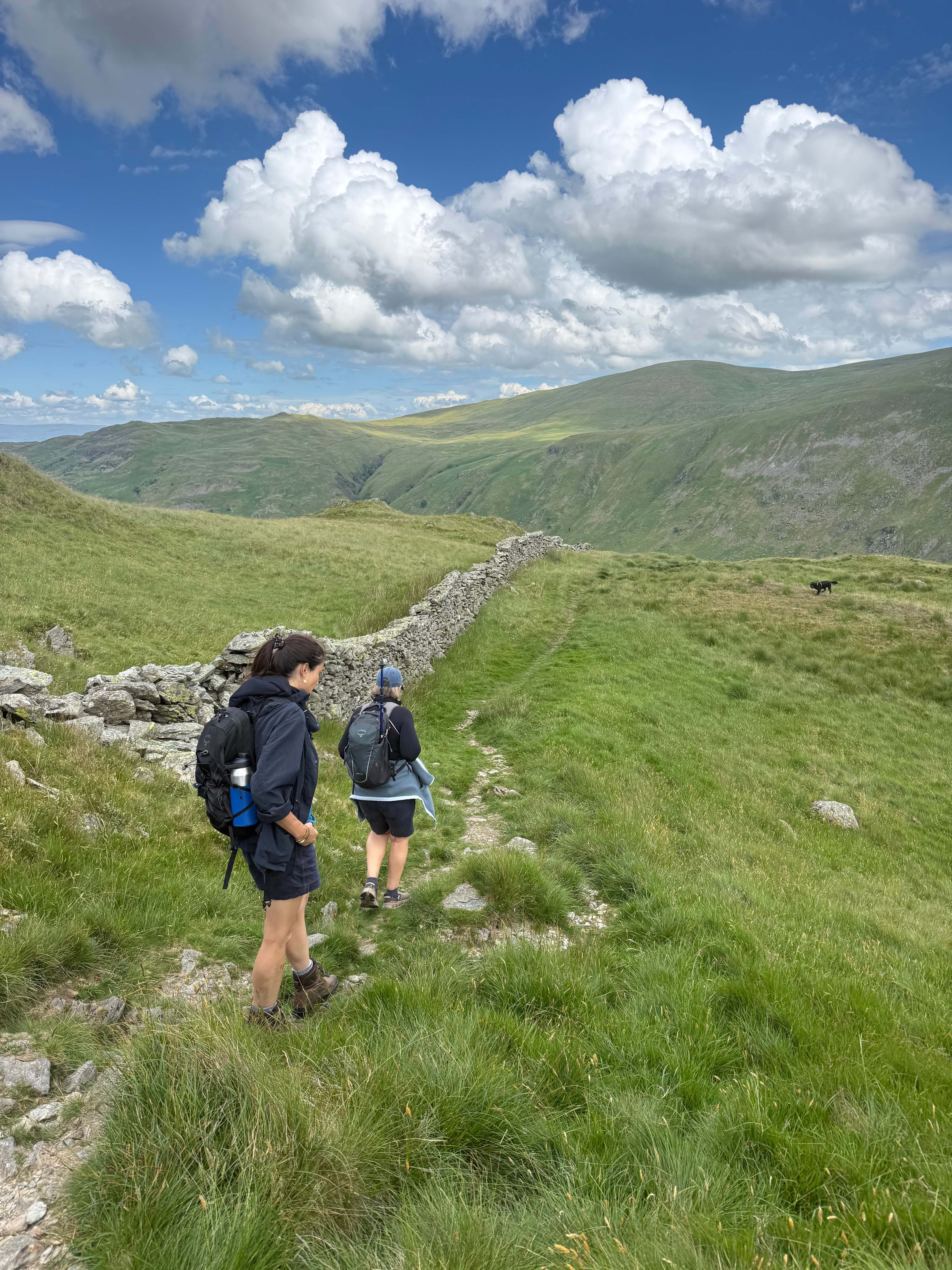 Two women walking a grassy fell path beside a dry-stone wall with a black dog ahead