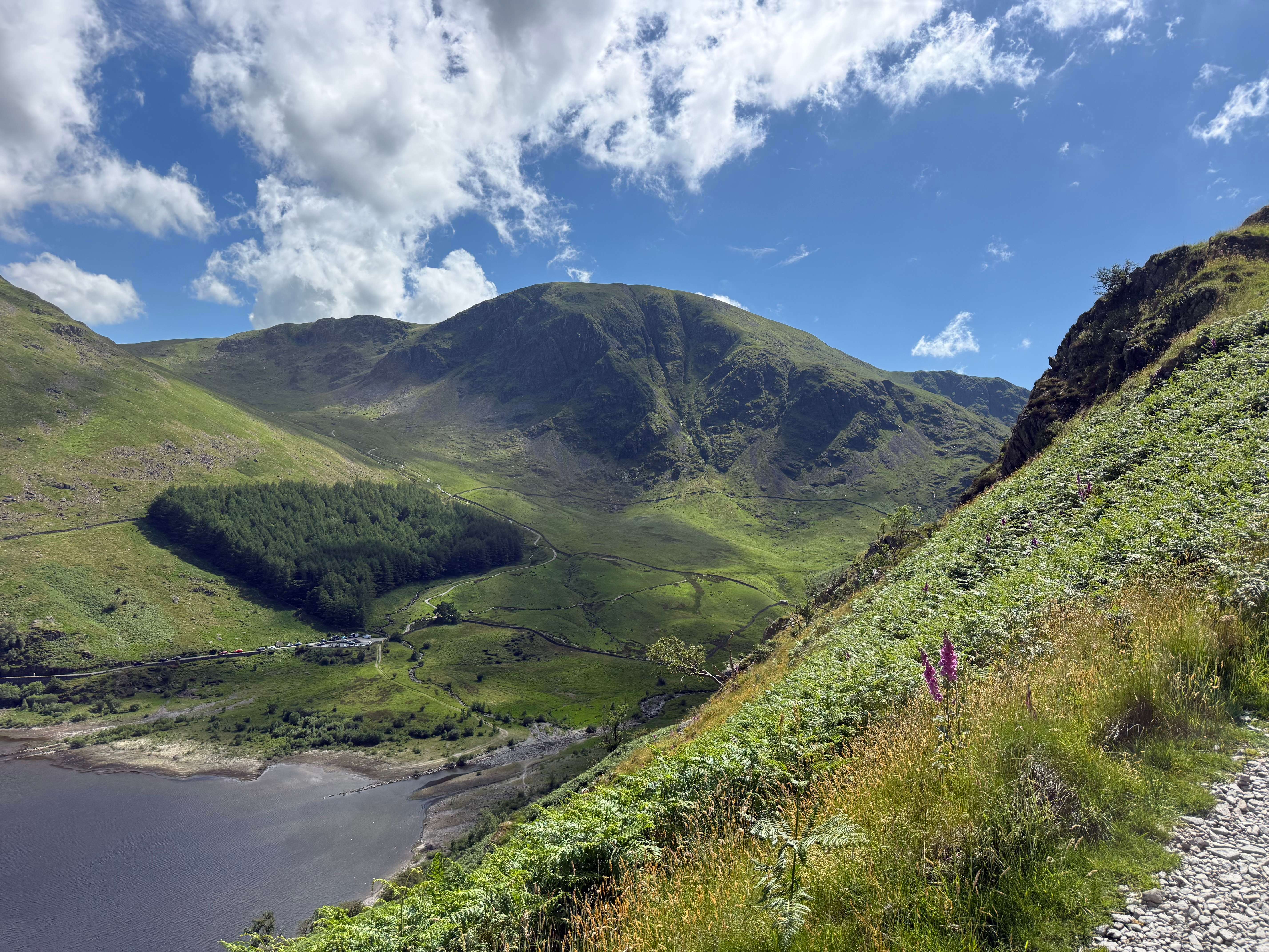Sweeping view over a Lake District valley with a reservoir, pine plantation and green fells