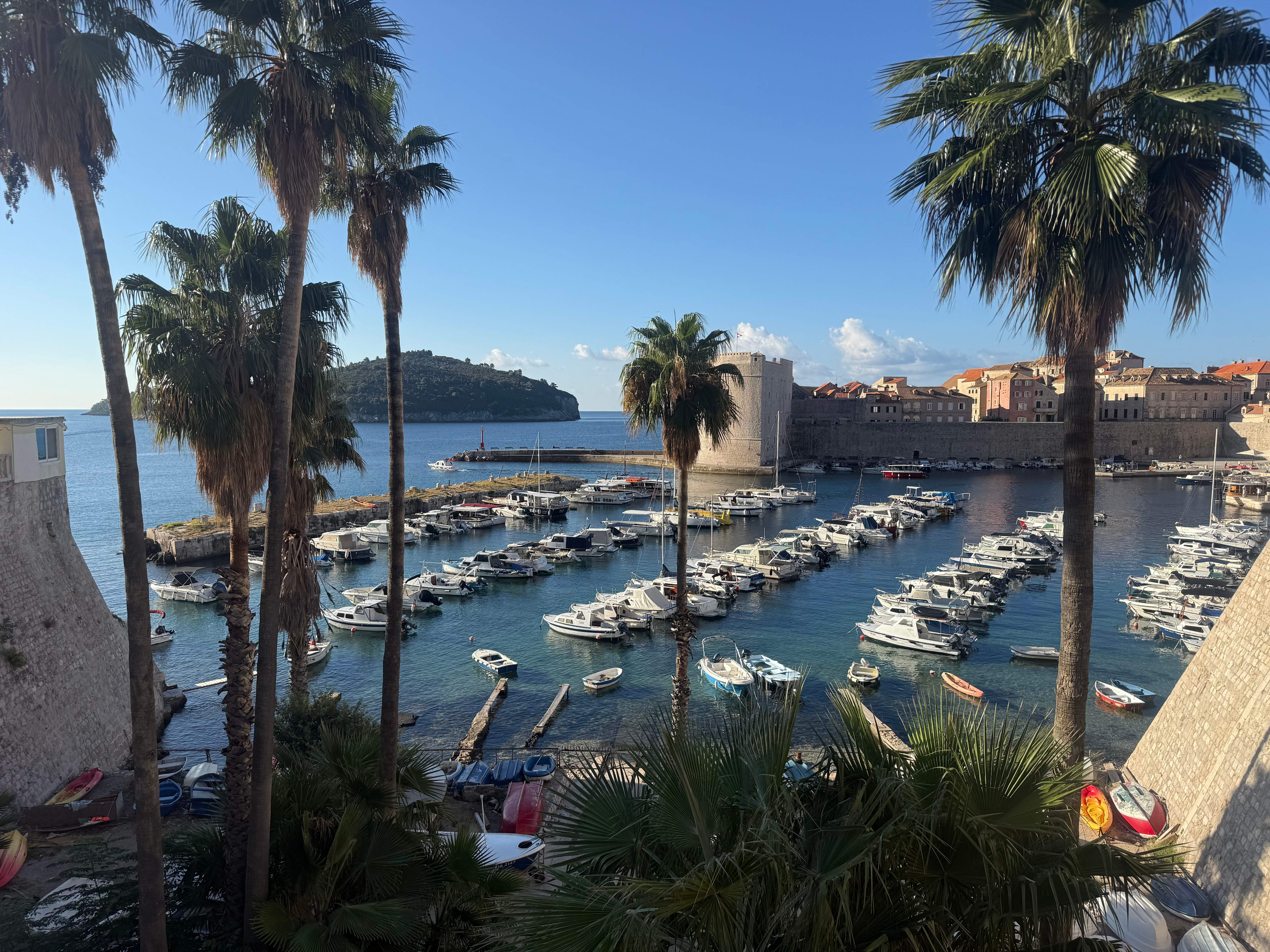 Dubrovnik's old harbour framed by palm trees, with boats moored in turquoise water, the stone fort and Lokrum island beyond