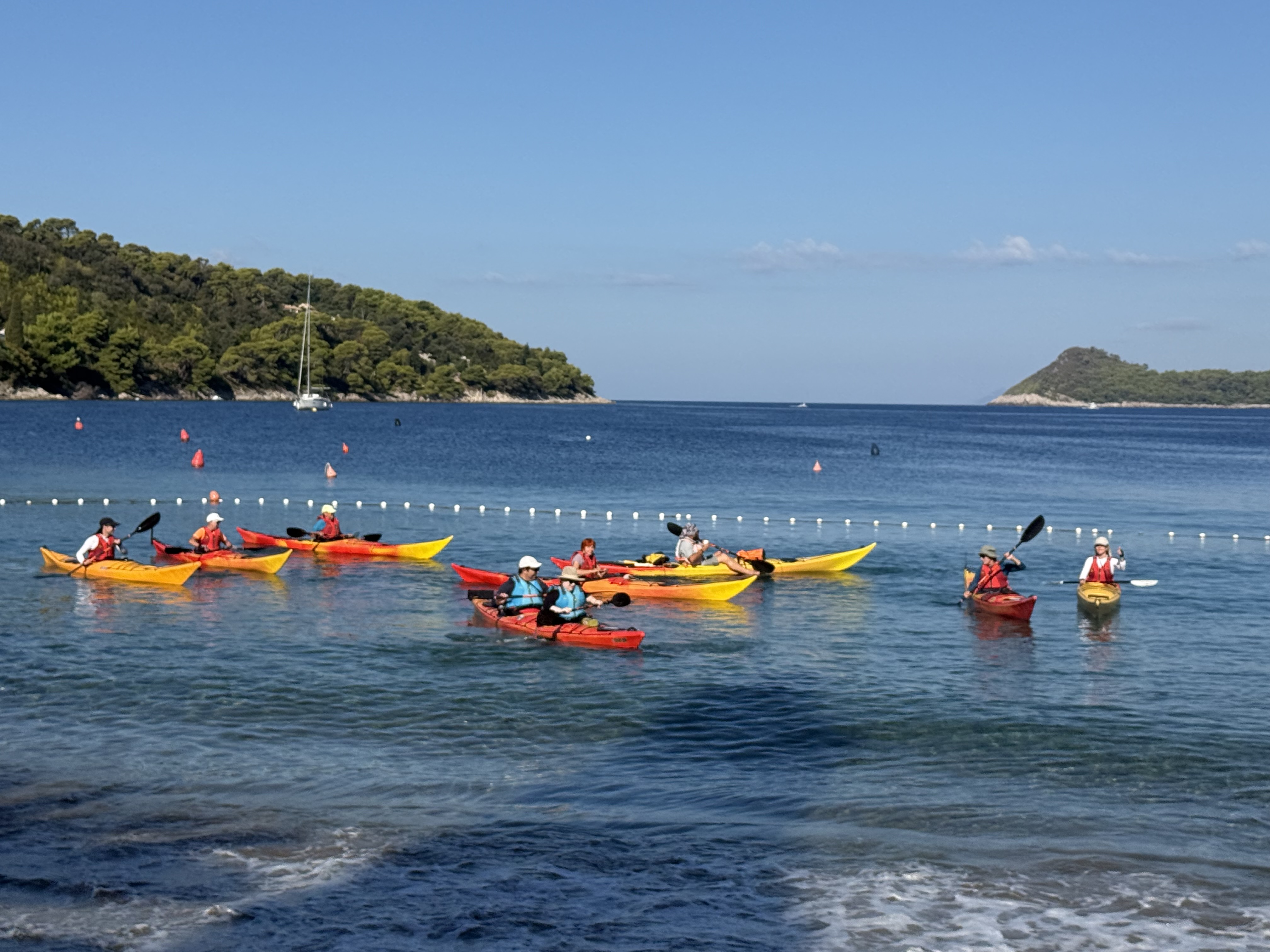 A group in red and yellow sea kayaks gathering by the shore in a blue bay with a pine-covered headland